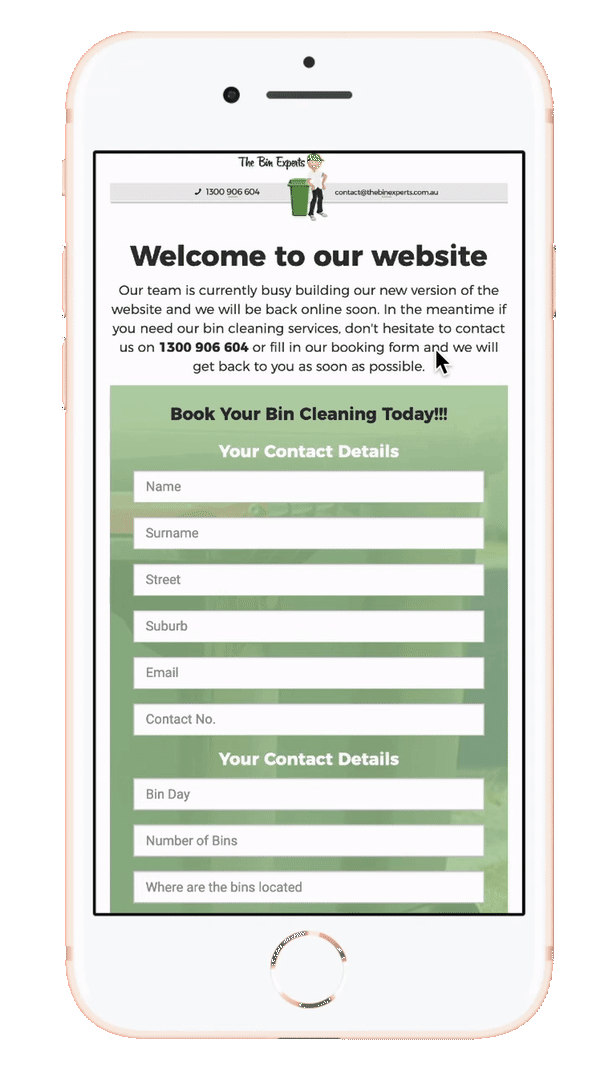 The Bin Experts website on mobile